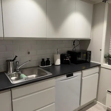 Modern Centrally Located In Apartment Kongsvinger