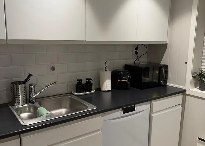 Modern Centrally Located In Apartament Kongsvinger